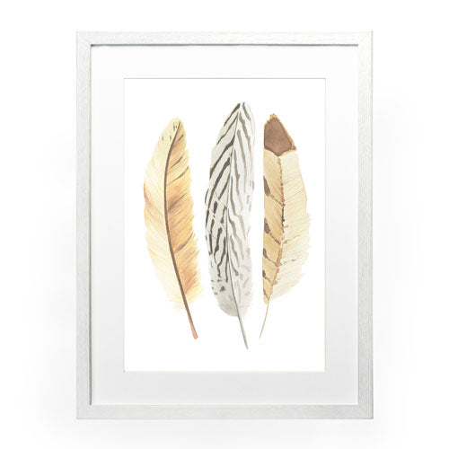 Pluma Clarita 4