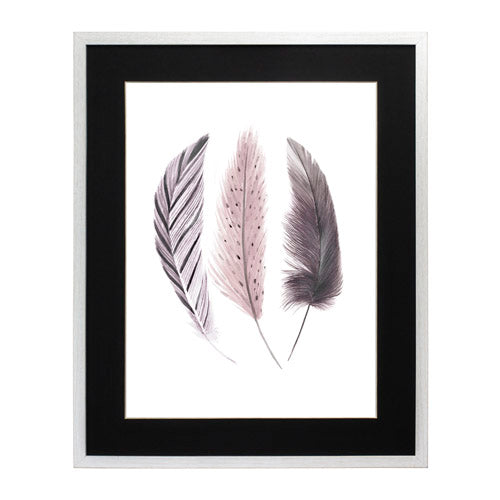 Pluma Clarita 6