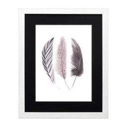 Pluma Clarita 6