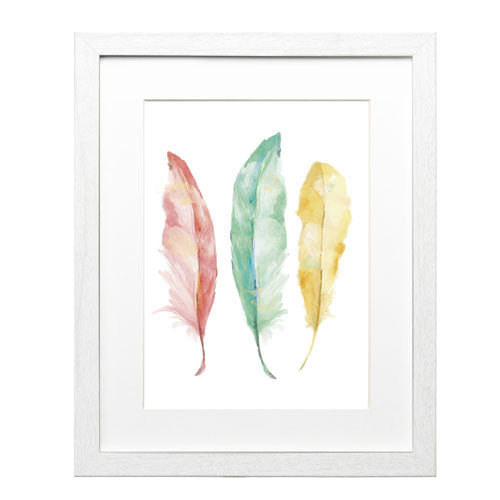 Pluma Colores 3
