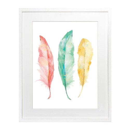 Pluma Colores 3