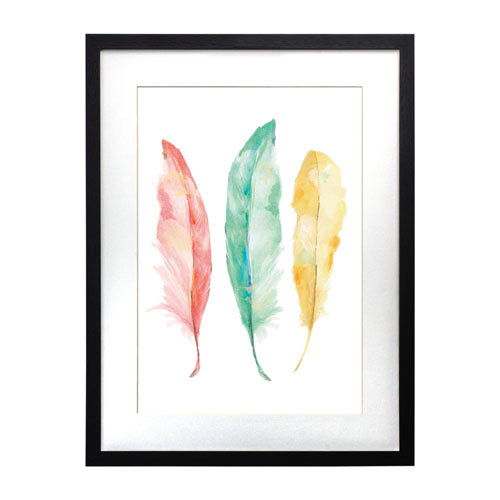 Pluma Colores 3