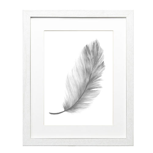 Pluma Colores 9