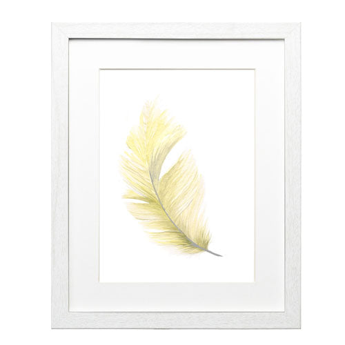 Pluma Colores 10
