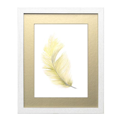 Pluma Colores 10