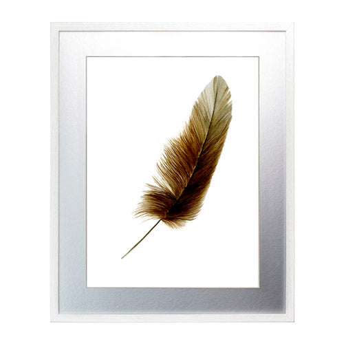 Pluma Dorado 1