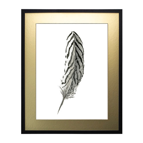 Pluma Dorado 6