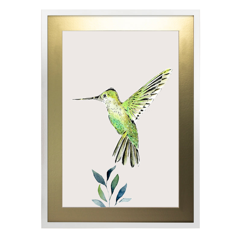 Pájaros Nativos 3