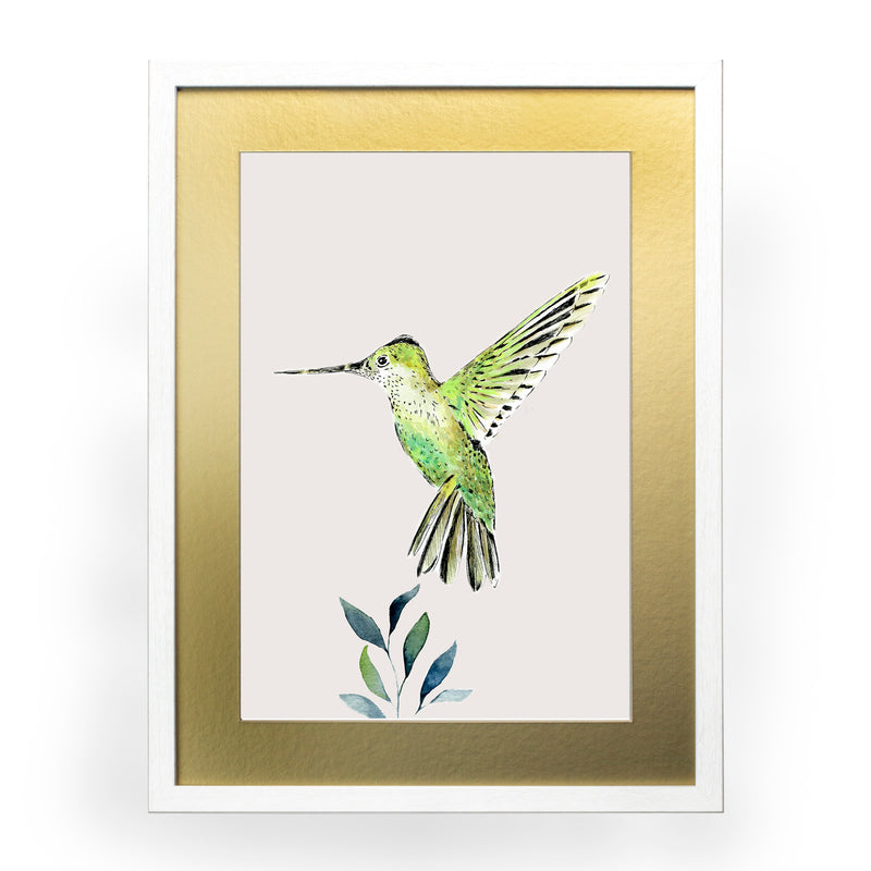 Pájaros Nativos 3
