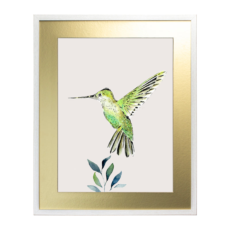 Pájaros Nativos 3