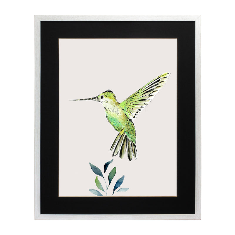 Pájaros Nativos 3