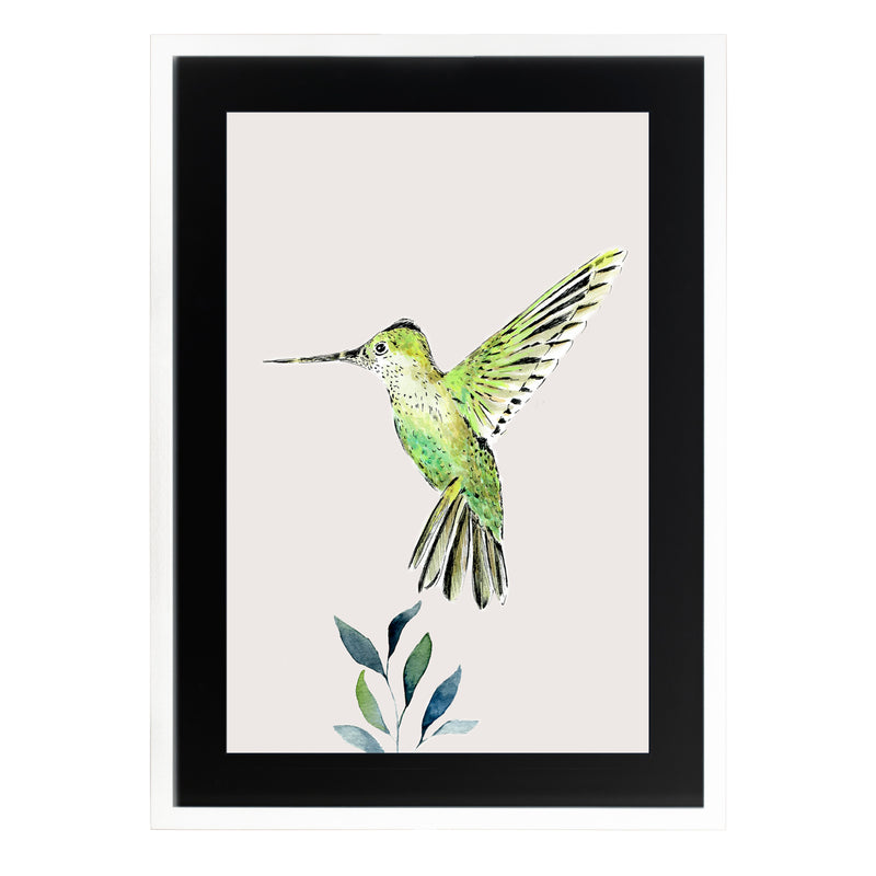 Pájaros Nativos 3
