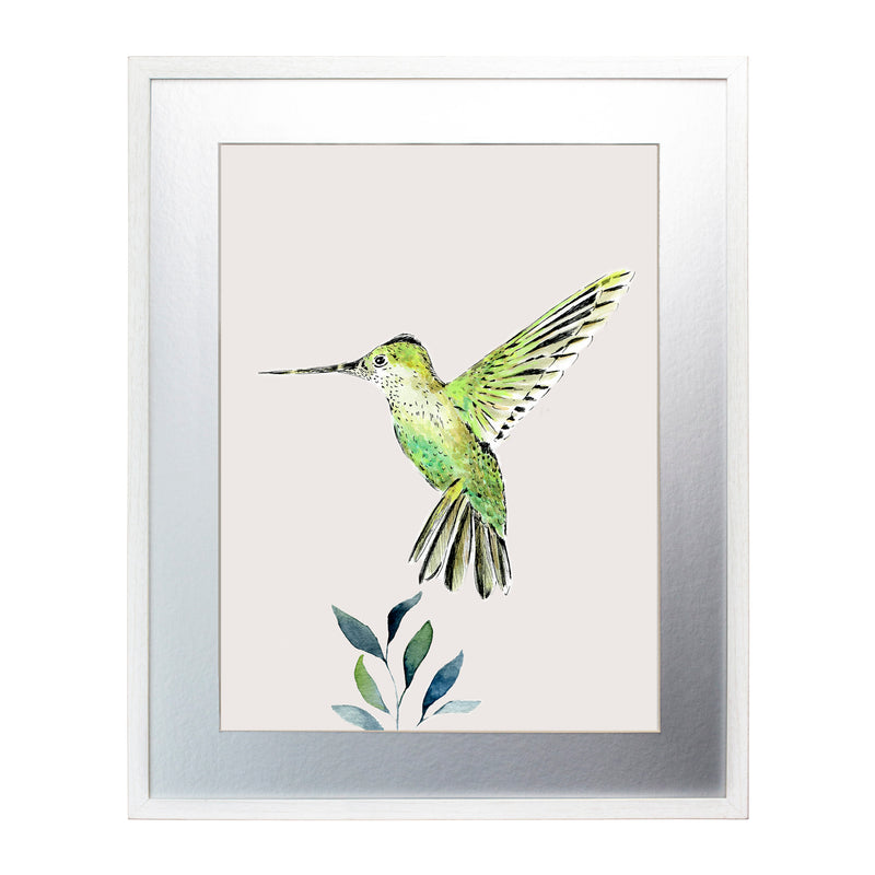 Pájaros Nativos 3