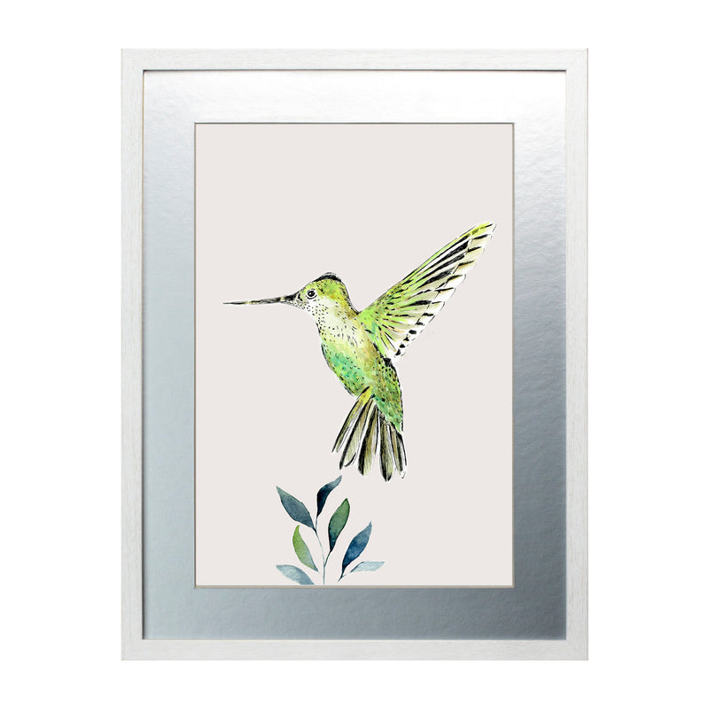 Pájaros Nativos 3