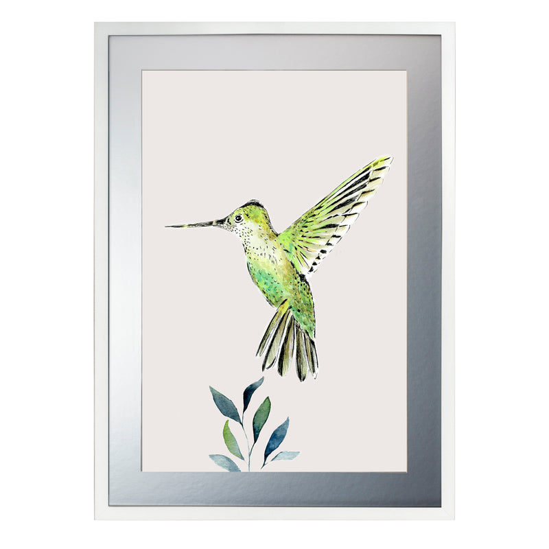 Pájaros Nativos 3