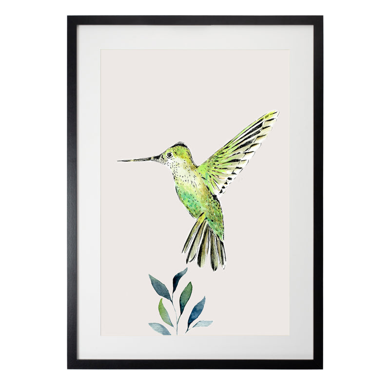 Pájaros Nativos 3