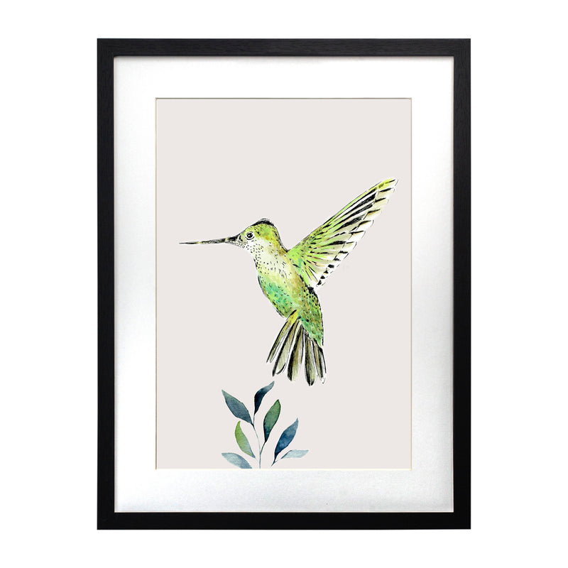 Pájaros Nativos 3