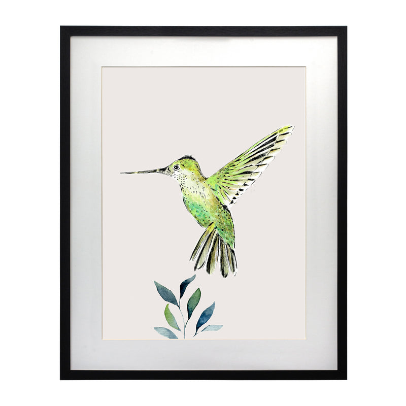 Pájaros Nativos 3