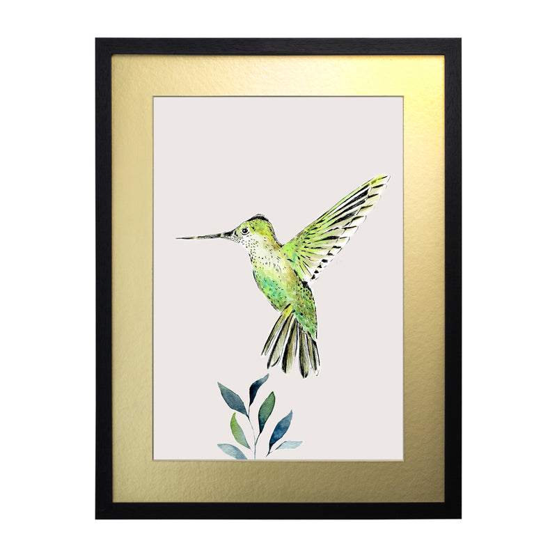 Pájaros Nativos 3