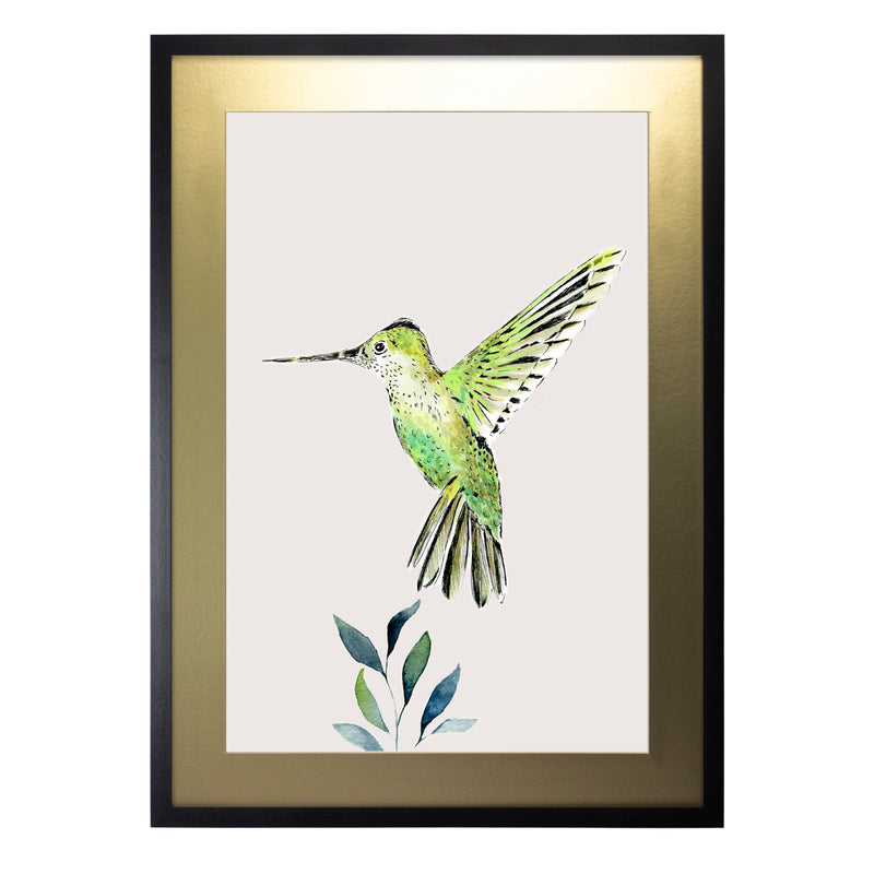 Pájaros Nativos 3