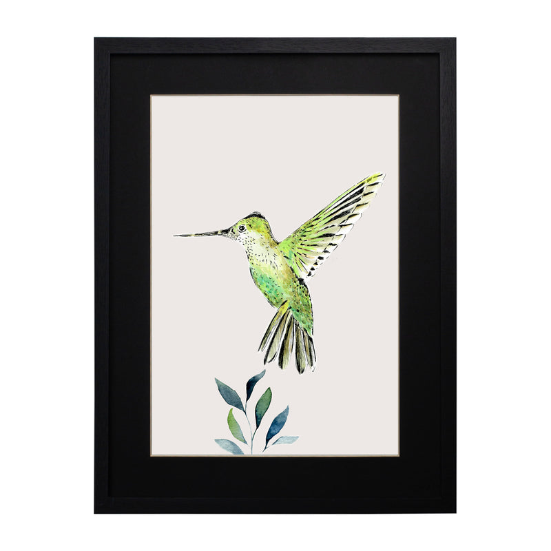 Pájaros Nativos 3