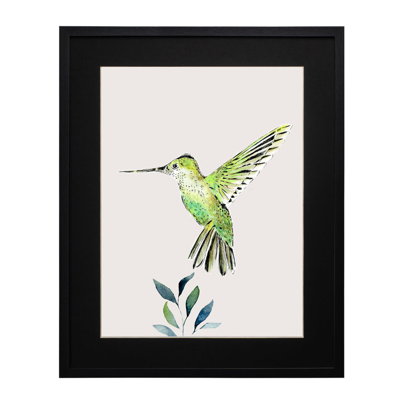 Pájaros Nativos 3
