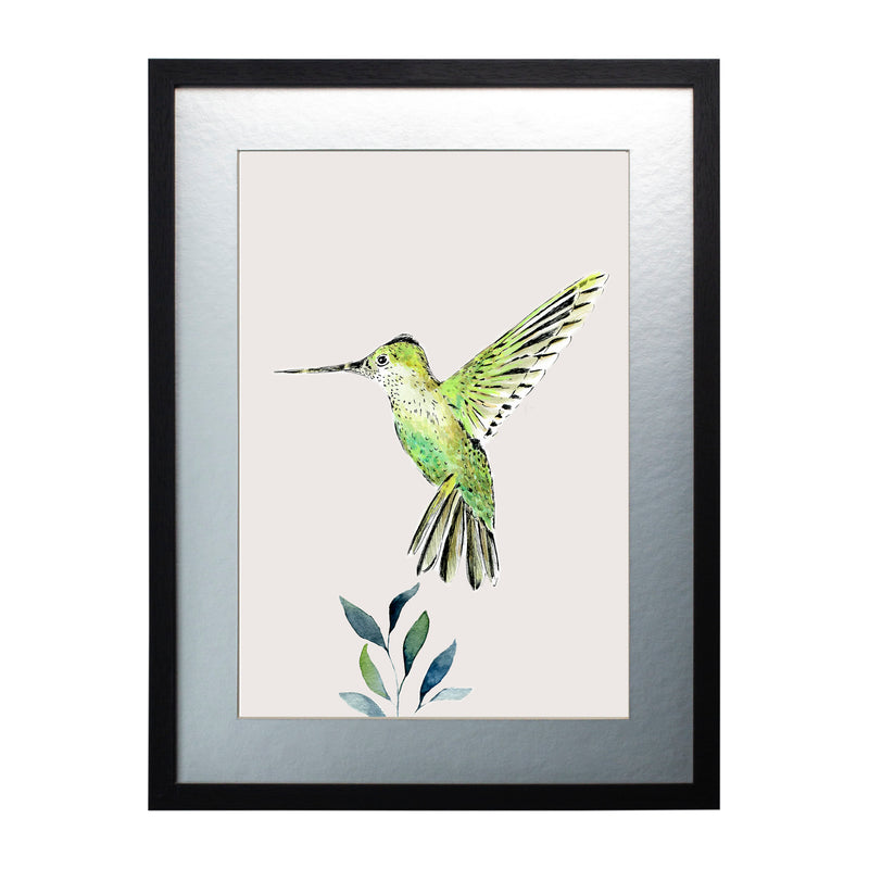 Pájaros Nativos 3